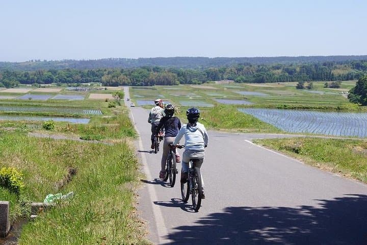 Mt Daisen Downhill Biking: 850m Descent Through Beech Forests to the Sea photo 6
