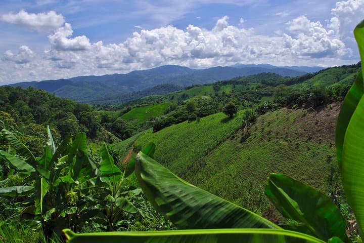 Akha Eco-Trekking Chiang Rai: 2-Day Immersive Hill‑Tribe Trek photo 2