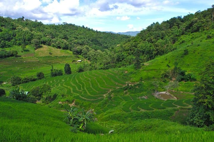 Akha Eco-Trekking Chiang Rai: 2-Day Immersive Hill‑Tribe Trek photo 5