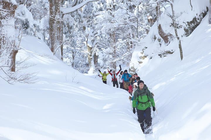 Mount Daisen Snowshoe Tour — Guided Winter Walk with Outdoor Lunch