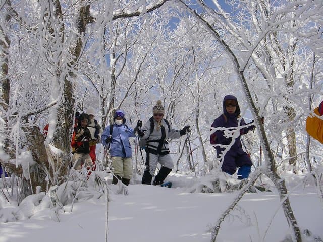 Mount Daisen Snowshoe Tour — Guided Winter Walk with Outdoor Lunch photo 2