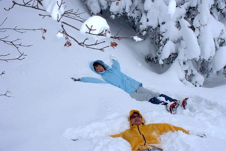 Mount Daisen Snowshoe Tour — Guided Winter Walk with Outdoor Lunch photo 5