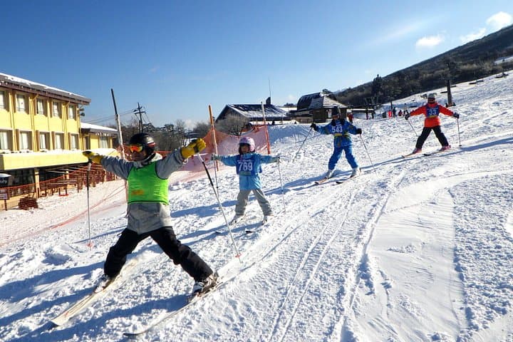 Private Family Ski Lesson with Transport at Daisen White Ski Resort photo 1