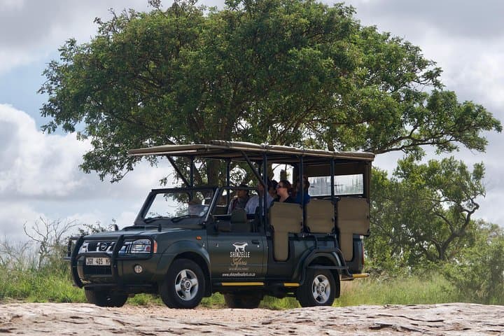 3-Day Kruger Safari: Big 5 Game Drives with Gecko Lodge Stay photo 3