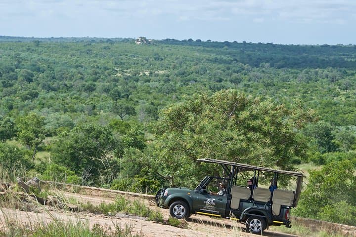3-Day Kruger Safari: Big 5 Game Drives with Gecko Lodge Stay photo 4