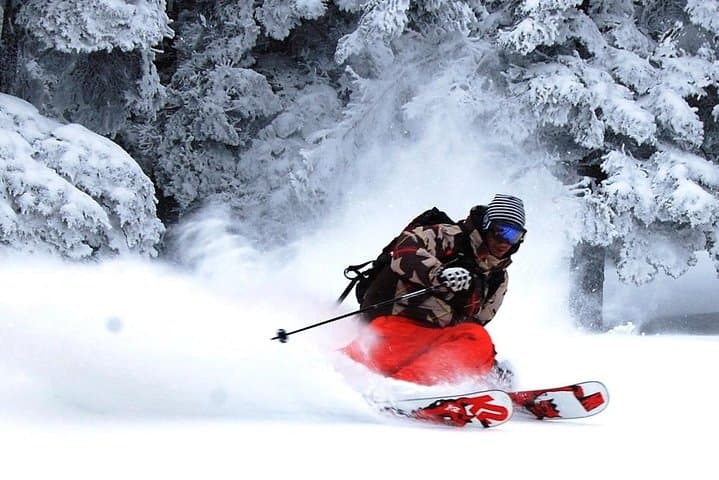 Nagano Ski Buffet: Deep Powder, Snow Monkeys & Onsen Recovery