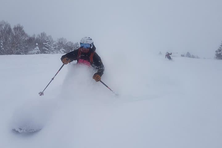 Nagano Ski Buffet: Deep Powder, Snow Monkeys & Onsen Recovery photo 5