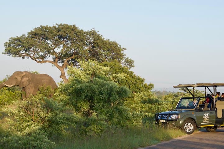 5-Day Kruger Safari & Blyde River Canyon Panoramic Tour — Kruger Big 5 Experience photo 2