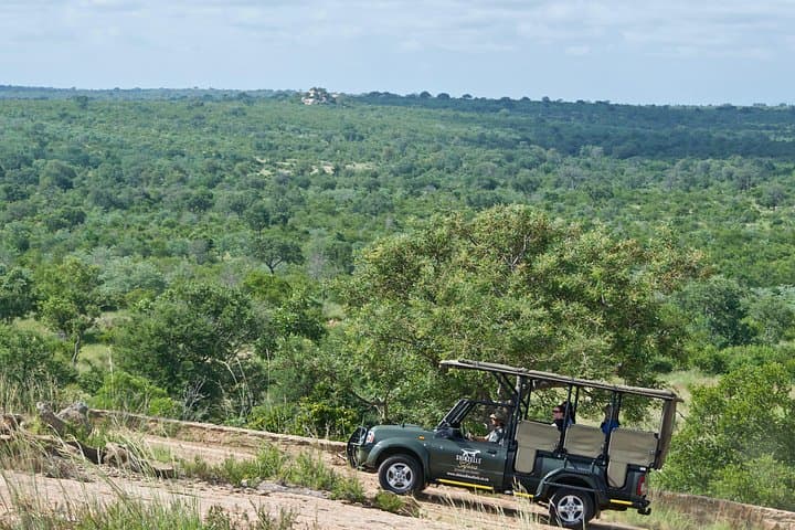 4-Day Kruger Safari from Hazyview: Big Five, Open-Top Game Drives & Gecko Lodge photo 3