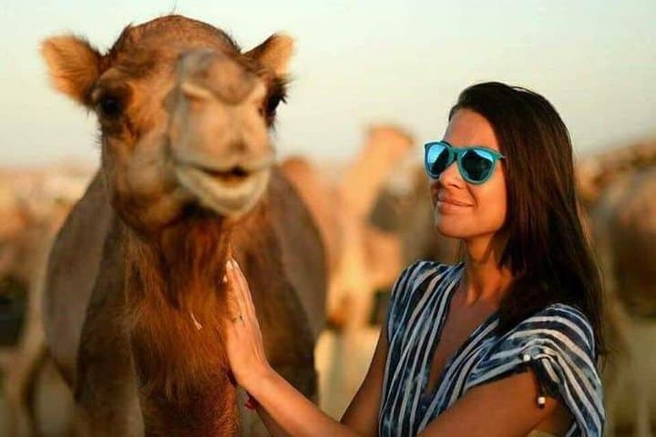 Dubai Desert Safari: Sunset Dune Bashing, BBQ Dinner & Camel Ride photo 4