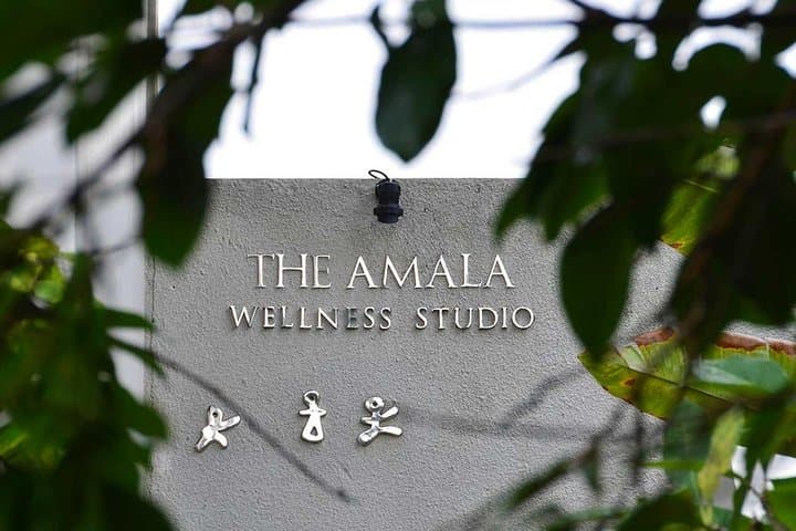 TULA Half-Day Nadis Flow: Dynamic Dance Meditation, Lymphatic Massage & Vegetarian Meal in Seminyak photo 3