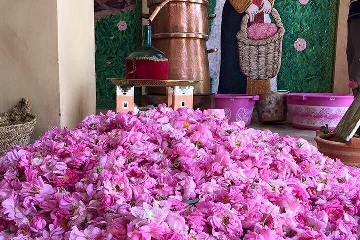11-Day Morocco Tour from Casablanca: Imperial Cities & Sahara Camel Trek photo 1