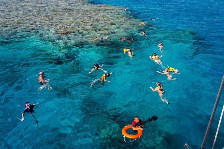 Half-Day Snorkeling at Ras Mohammed National Park from Sharm el-Sheikh photo 6