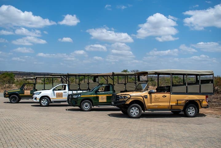 Full-Day Kruger Safari: Big Five Game Drive from Mpumalanga