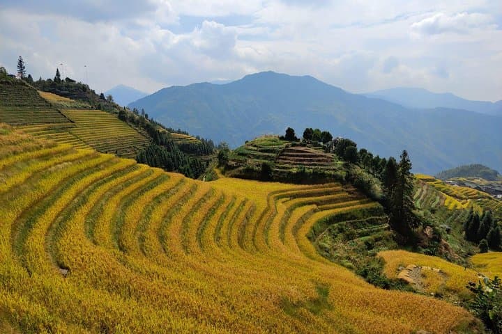 Longji (Dragon's Backbone) Rice Terraces Day Tour from Xingping — Ping'an & Huangluo Villages photo 3
