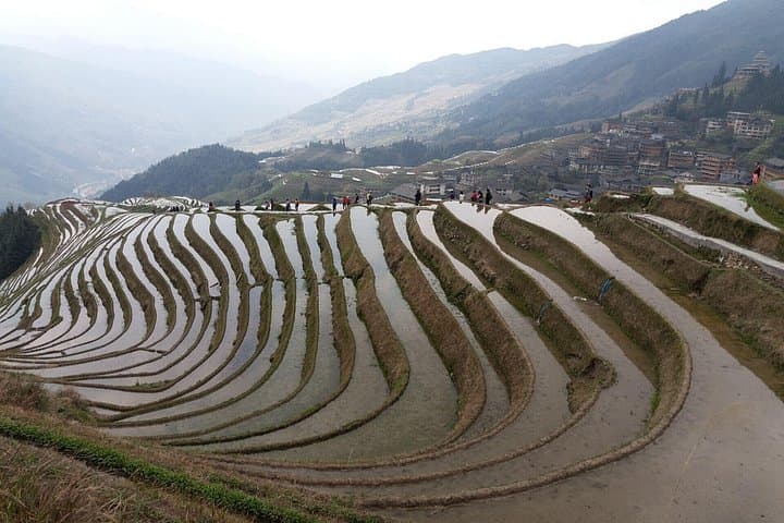 Guilin Tea Plantation & Longji Rice Terraces Day Tour from Yangshuo photo 1