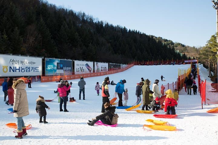 Private Nami Island & Elysian Ski Resort Snow Viewing — Day Tour from Seoul photo 1