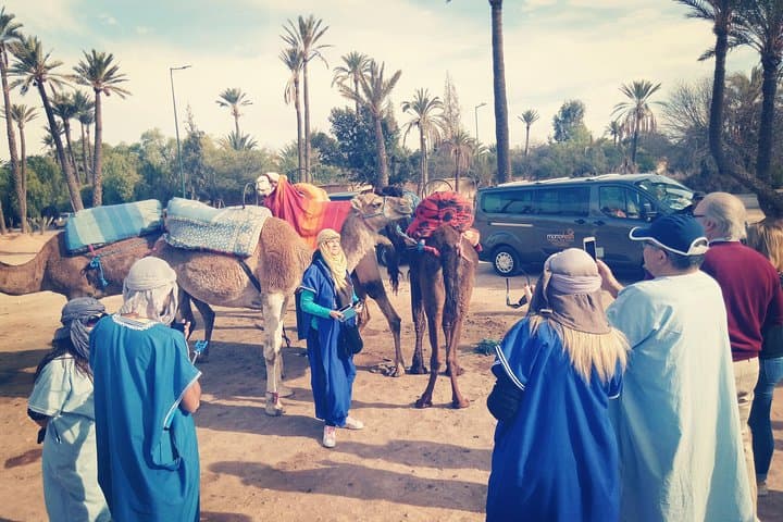 Palmeraie Camel Ride: 1-Hour Palm Grove Experience Near Marrakech photo 4