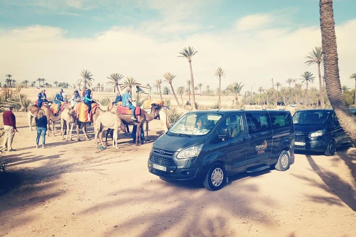 Palmeraie Camel Ride: 1-Hour Palm Grove Experience Near Marrakech photo 5