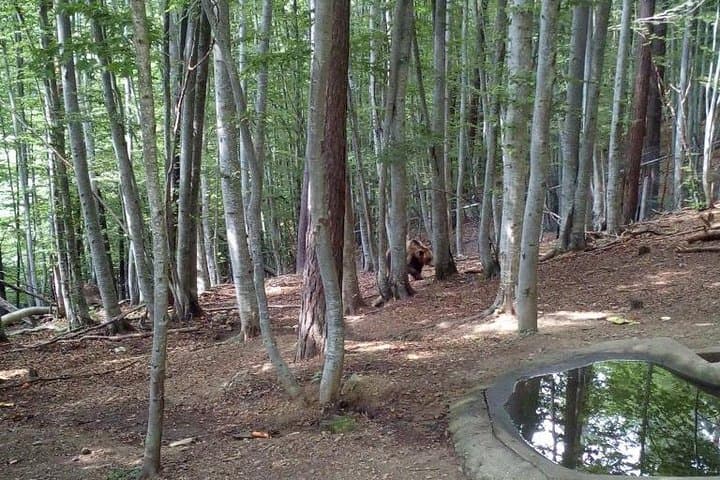 5-Day Bulgaria Nature Tour: Rila, Pirin & Rhodope Mountains photo 2