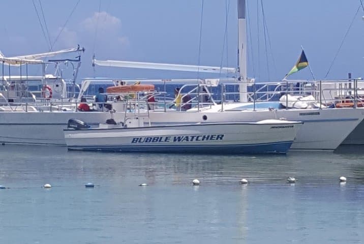 Negril Day Trip from Ocho Rios: Rick's Cafe, Seven Mile Beach and Island Drive photo 3