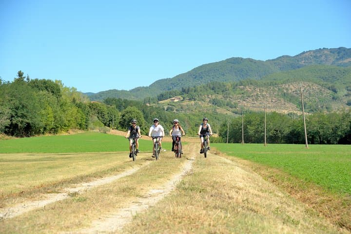 Tuscan Countryside Bike Tour & Saffron Food Tasting Near Florence photo 3