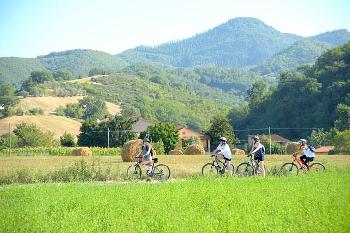 Tuscan Countryside Bike Tour & Saffron Food Tasting Near Florence photo 4
