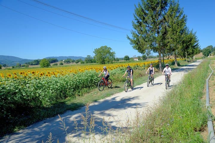 Tuscan Countryside Bike Tour & Saffron Food Tasting Near Florence photo 6