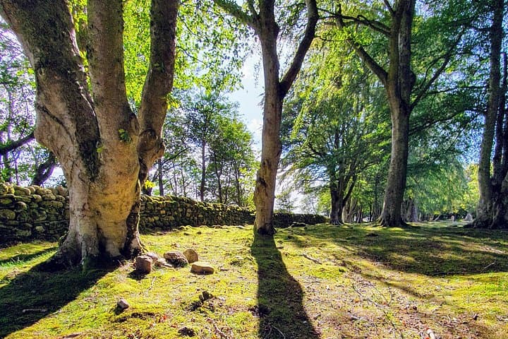 The Quieter Side of Loch Ness: Private Forest Walks, Waterfalls & Hidden Shores photo 4
