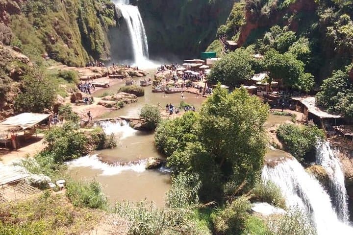 Ouzoud Falls Full-Day Trip from Marrakech — Swim, Hike and Spot Monkeys photo 2