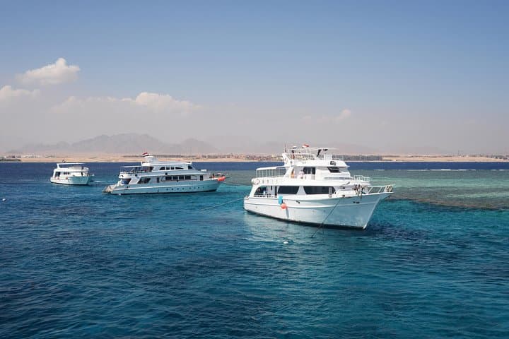 Ras Mohammed and White Island Full-Day Boat Trip from Sharm el-Sheikh photo 6