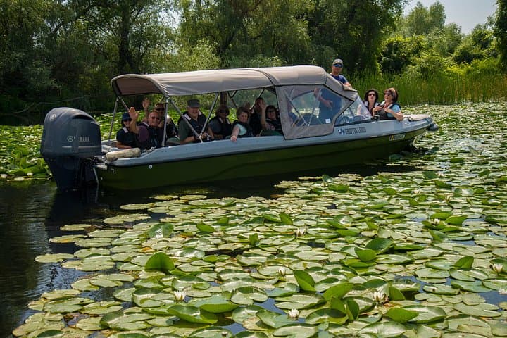 Private Speedboat to Mila 23: 4–5 Hour Danube Delta Cruise from Tulcea