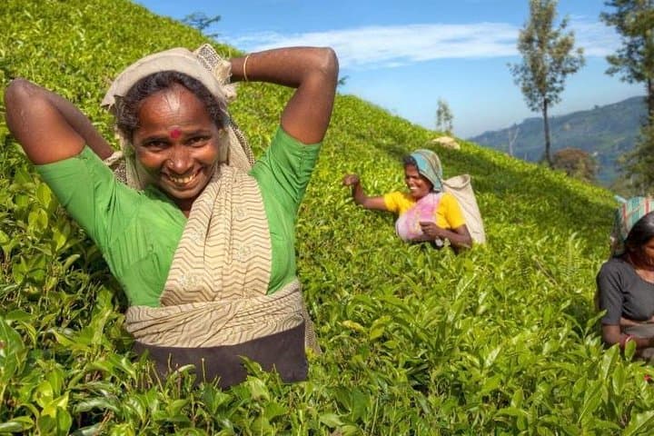 Day Trip from Kandy to Nuwara Eliya — Ramboda Viewpoint, Tea Plantations & Gregory Lake photo 2
