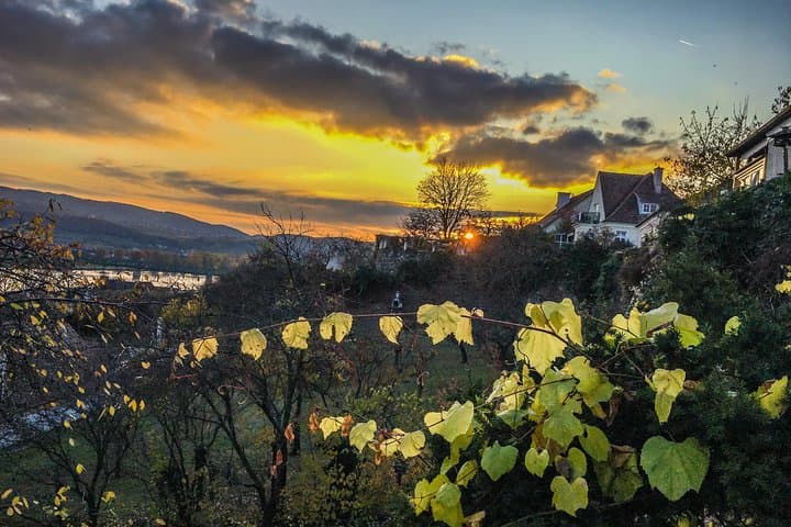 Wachau Winter Walk: Krems Vineyard Hike & Danube Views photo 3