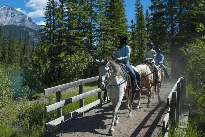 Exploring Banff National Park on a 1 Hour Bow River Horseback Ride photo 6