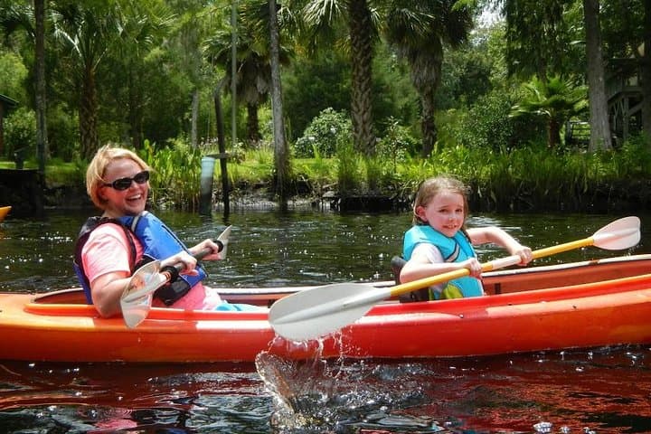 Self-Guided Kayak Rental on Lofton Creek — Amelia Island Wildlife Paddle photo 1