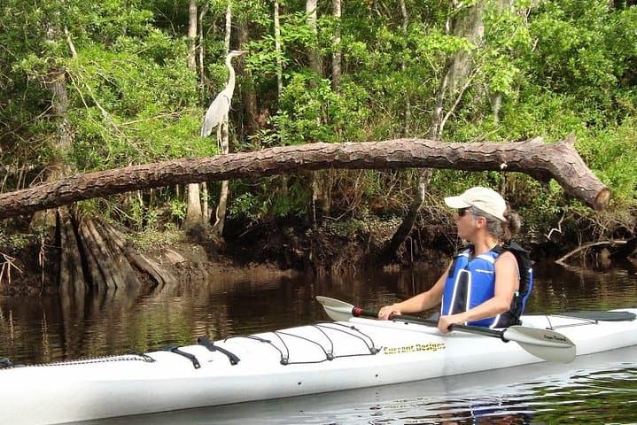 Self-Guided Kayak Rental on Lofton Creek — Amelia Island Wildlife Paddle photo 2