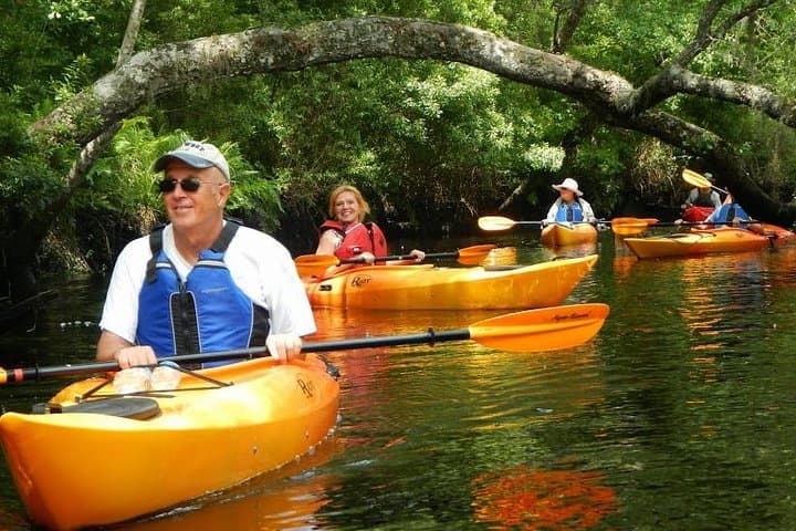 Self-Guided Kayak Rental on Lofton Creek — Amelia Island Wildlife Paddle photo 3