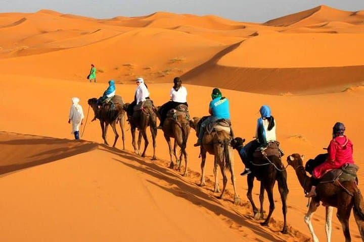 Tangier Day Tour: Cape Spartel, Caves of Hercules & Camel Ride photo 1