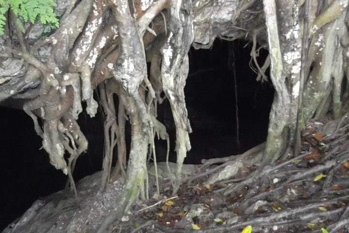 Cueva Ventana Window Cave Tour from San Juan — Arecibo Day Hike & Cave Visit photo 5