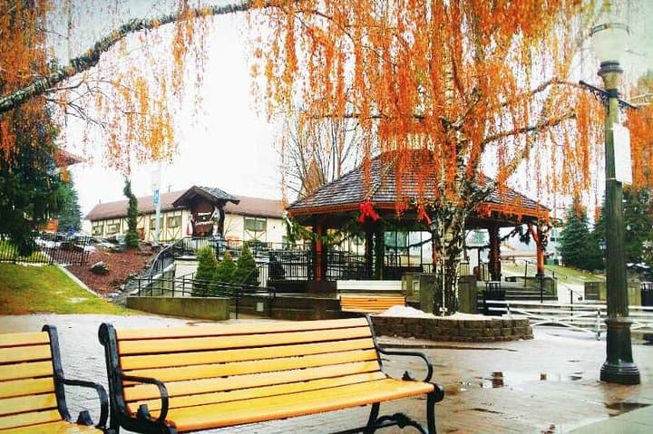 Snoqualmie Falls and Leavenworth Day Trip from Seattle — Waterfalls, Bavarian Streets & Pacific Northwest Scenery photo 3