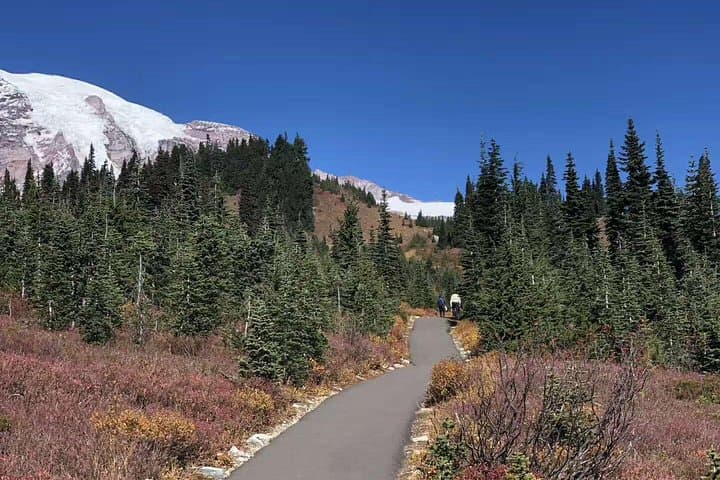 Mount Rainier Day Tour from Seattle: Paradise, Narada Falls & Longmire photo 3