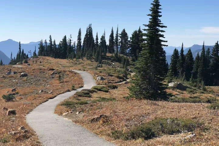 Mount Rainier Day Tour from Seattle: Paradise, Narada Falls & Longmire photo 4
