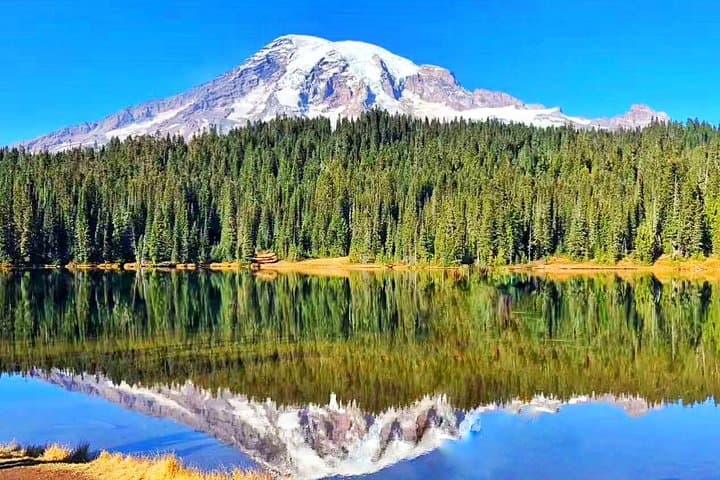 Mount Rainier Day Tour from Seattle: Paradise, Narada Falls & Longmire