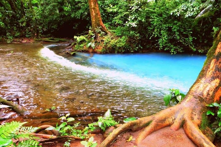 Rio Celeste Full-Day Tour from Monteverde — Waterfall, Teñidero & Blue Lagoon photo 4