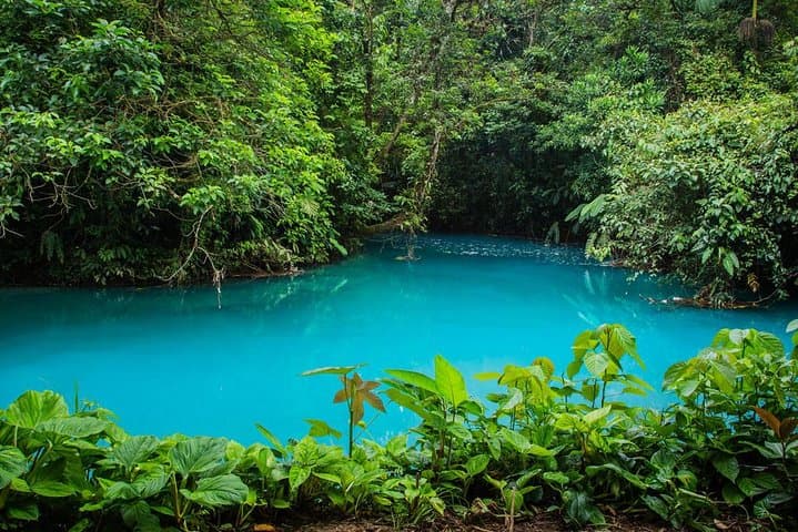Rio Celeste Full-Day Tour from Monteverde — Waterfall, Teñidero & Blue Lagoon photo 5