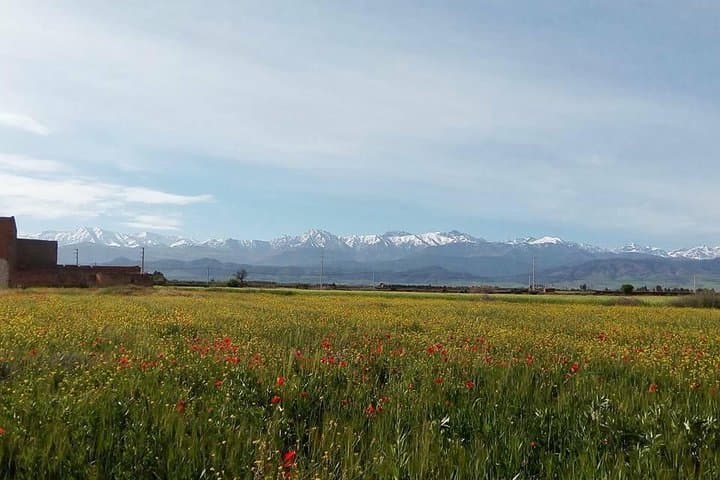 Full-Immersion Ourika Valley Day Trip from Marrakech photo 3