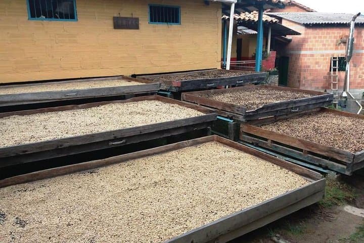Agroecological Coffee Tour in Santa Bárbara — Farm, Tasting & Trails Near Medellín