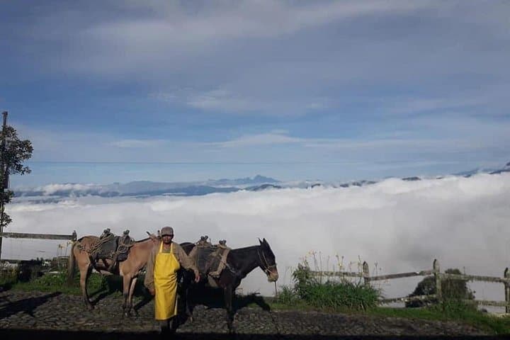 Agroecological Coffee Tour in Santa Bárbara — Farm, Tasting & Trails Near Medellín photo 3