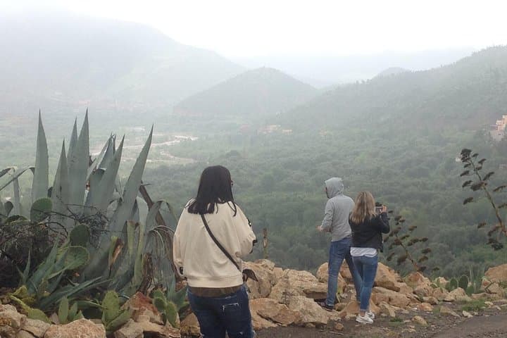 Full-Immersion Ourika Valley Day Trip from Marrakech photo 5